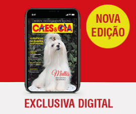 Cia de caes Clearance